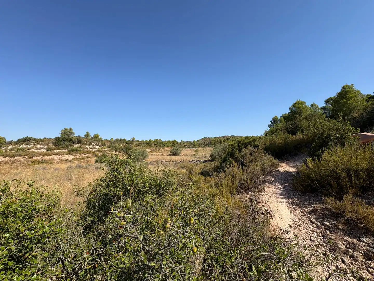 Terreno rustico in vendita a Cervià de Les Garrigues, imagen 30