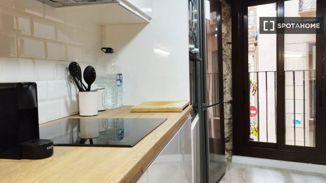 Piso en Alquiler en Sant Pere, Sta. Caterina i la Ribera