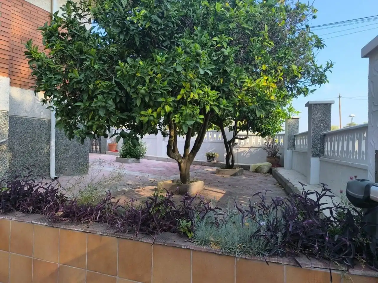 Maison avec piscine à vendre à Carrer Dels Ocells 2, imagen 4