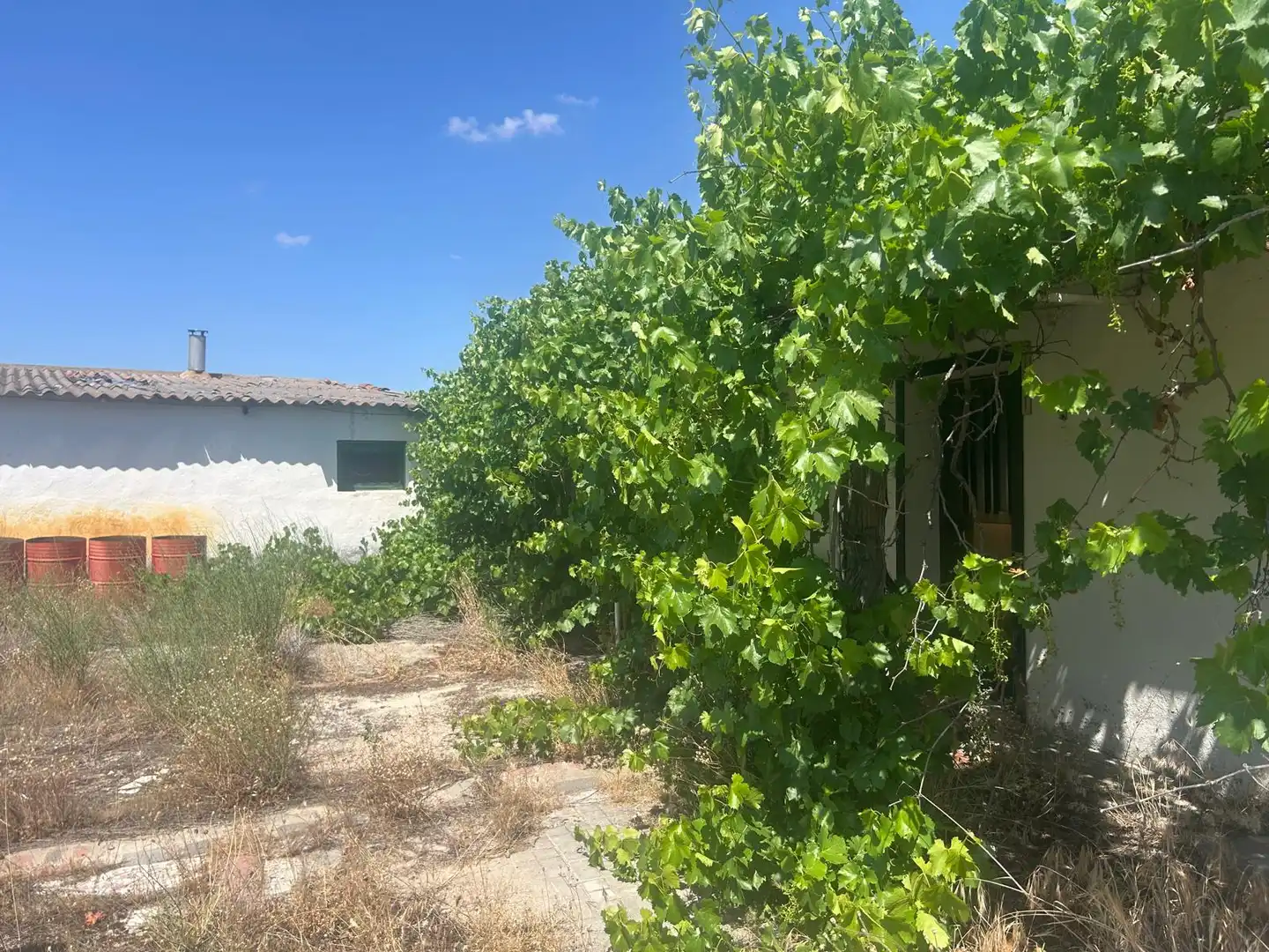 Casa o chalet en venta en Tiñosillos