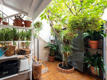 Casa a schiera in vendita a Calle Nueva