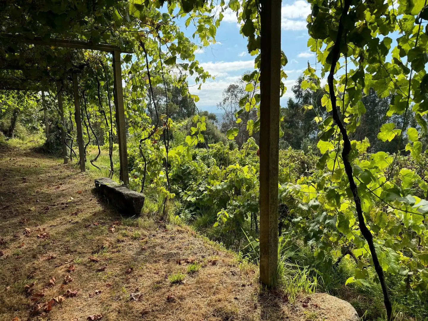 Xalet en venda a A Cañiza, imagen 56