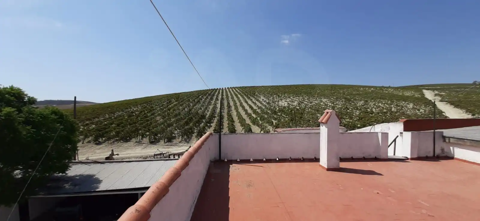Rural land for sale in Santiago - Coronación, imagen 11