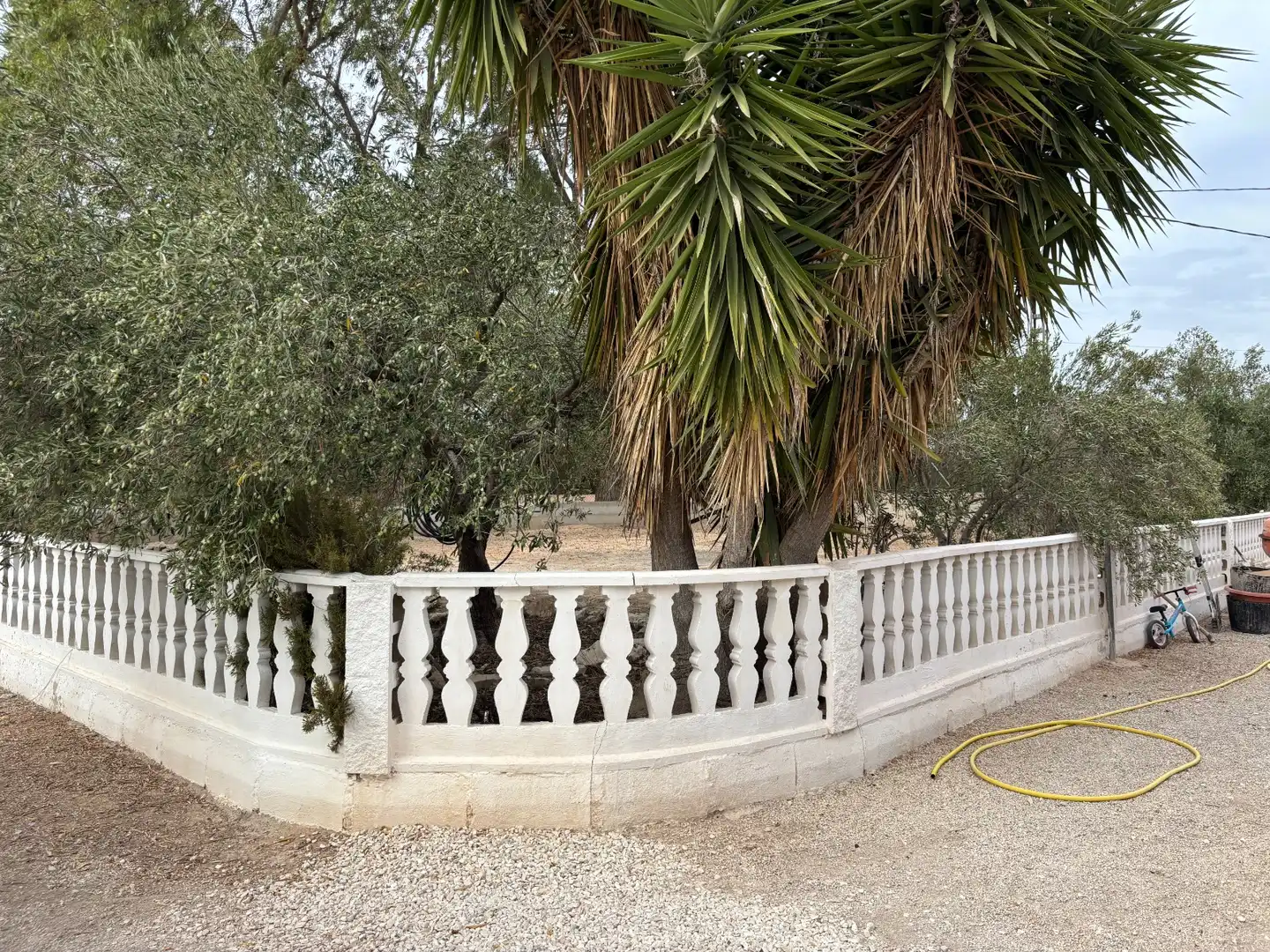 Jardín de Casa o chalet en venta en Elche / Elx con Aire acondicionado, Jardín privado y Piscina