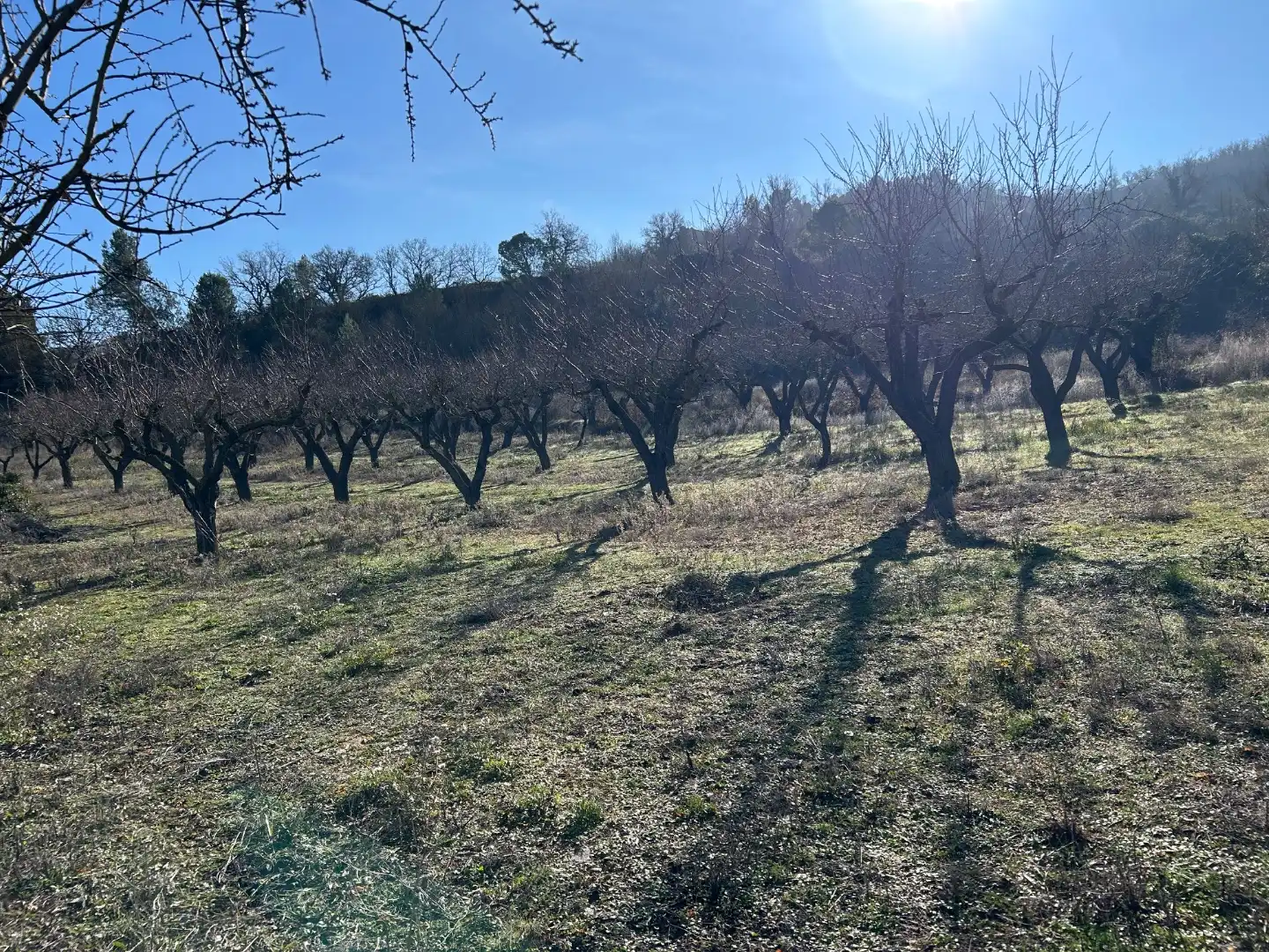 Terreno rústico en venta en Cami Xalets 12, imagen 10