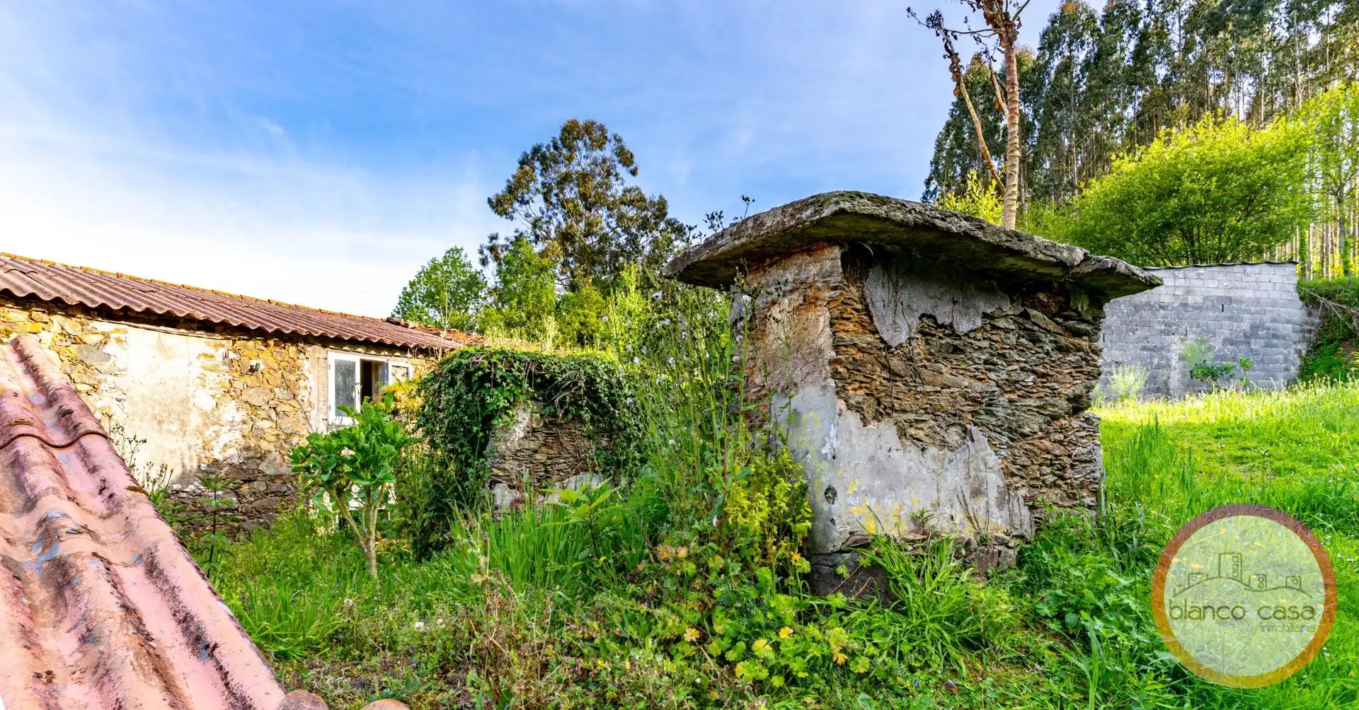 Houses for sale in Carballo