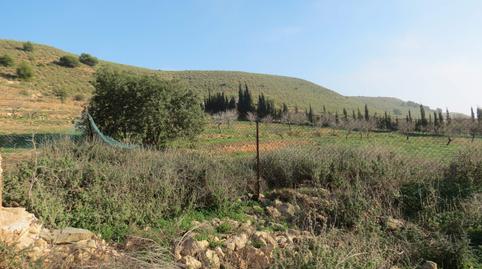 Foto 4 de Terreno en venta en Perín, Murcia