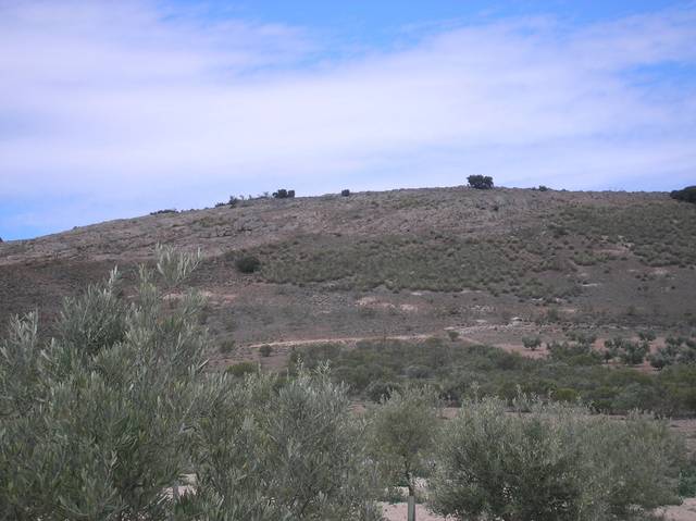 Terreno en Venta en Villacañas