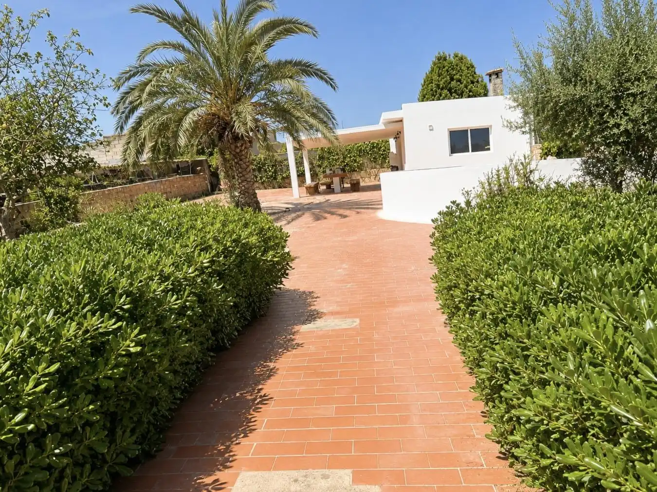 Casa rústica amb piscina en venda a Manacor Centre, imagen 2