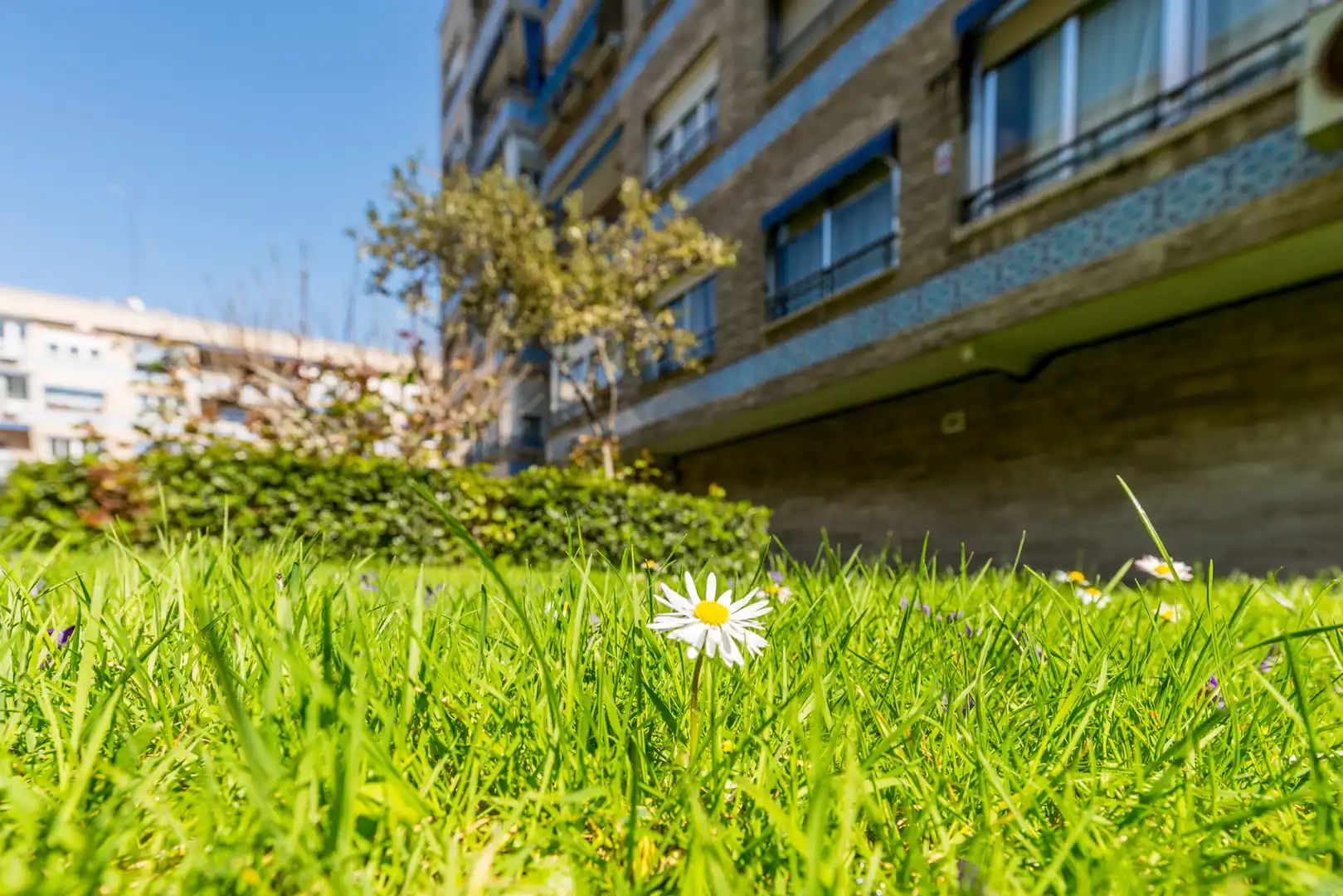 Jardí de Pis en venda en  Madrid Capital amb Aire condicionat, Calefacció i Piscina comunitària
