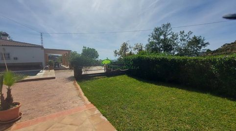 Foto 5 de Finca rústica de lloguer a Algarrobo pueblo, Algarrobo