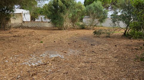 Foto 2 de Terreny en venda a Las Lagunas - Campano, Chiclana de la Frontera
