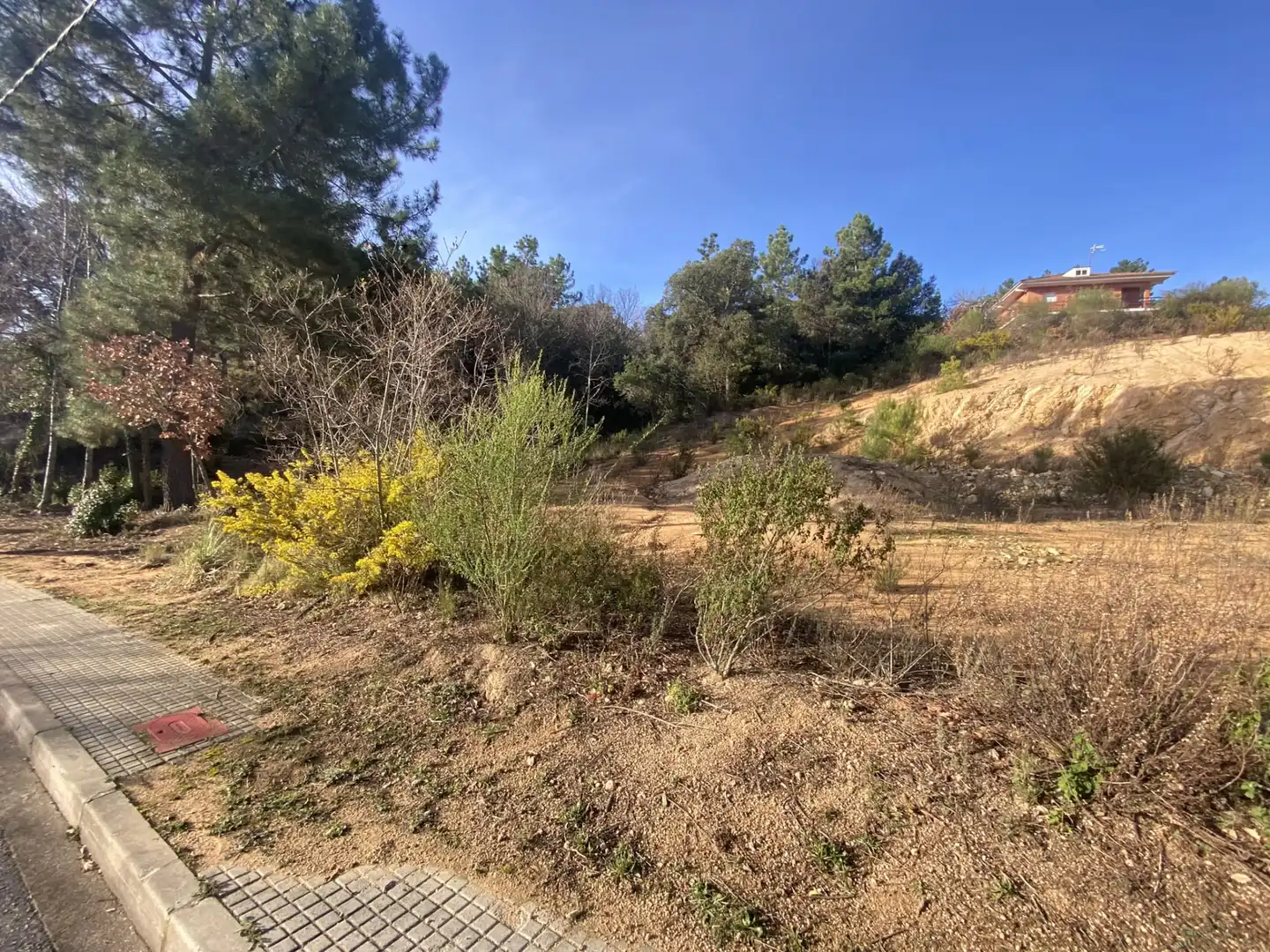 Terreno residencial en venta en Calle Lirios 23, imagen 17
