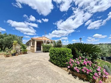 Casa amb piscina en venda a Poligono 7 64