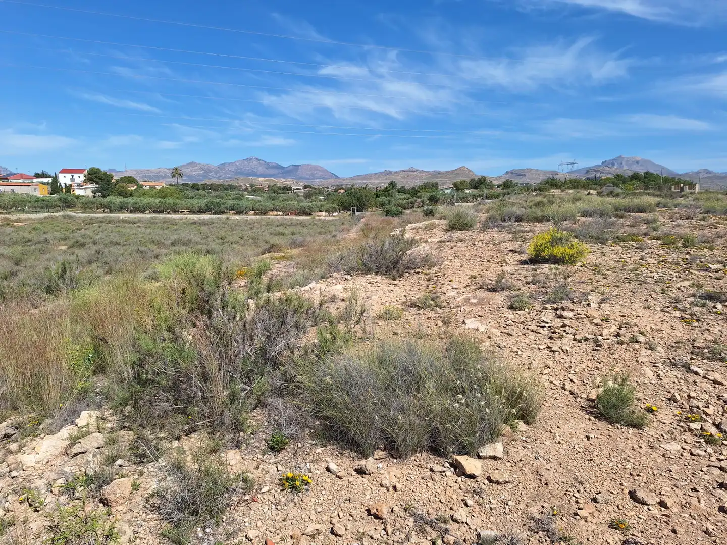 Rural land for sale in Los Girasoles, imagen 9