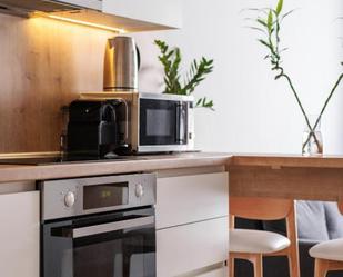 Kitchen of Flat to rent in  Madrid Capital  with Air Conditioner, Furnished and Pets allowed