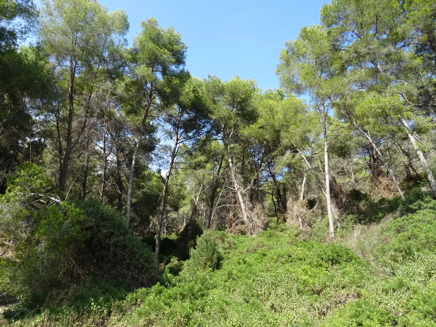 Apartament en venda en Salou amb Aire condicionat, Calefacció i Terrassa