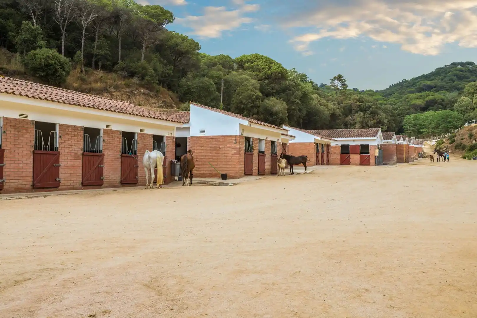 Vista exterior de Casa o chalet en venta en Sant Andreu de Llavaneres con Aire acondicionado, Calefacción y Jardín privado