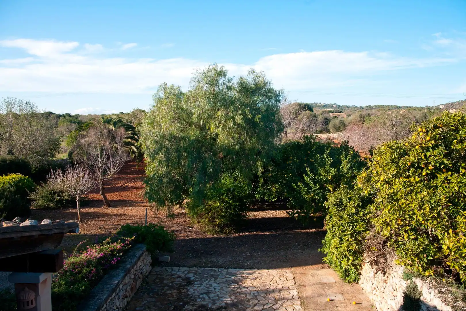 Jardí de Casa o xalet en venda en Santanyí amb Jardí privat, Terrassa i Traster