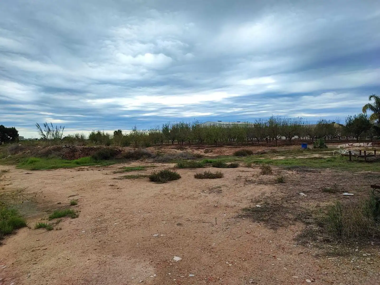 Lands and plots for sale in Sueca ciudad, imagen 5