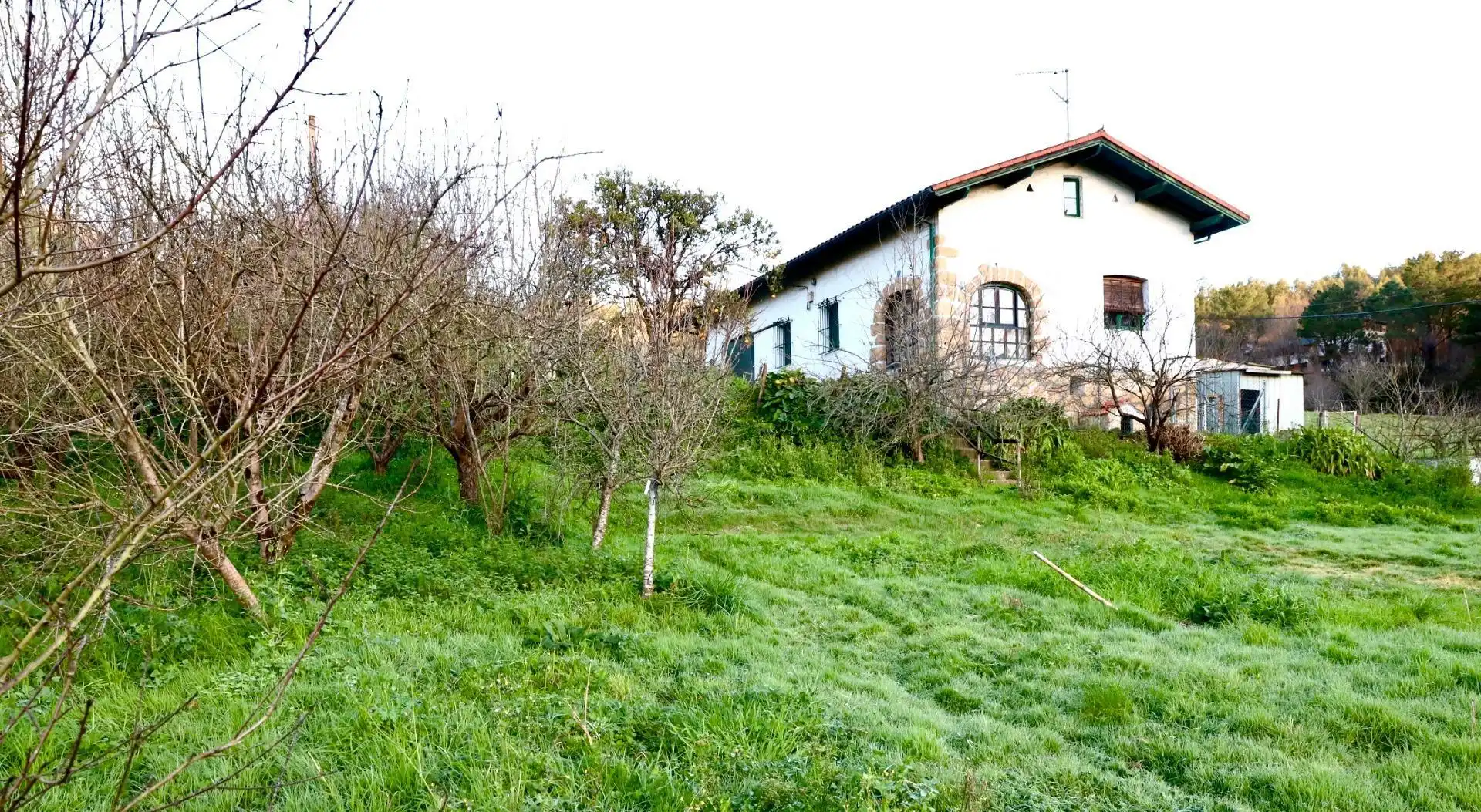 Finca rústica en venta en Berango
