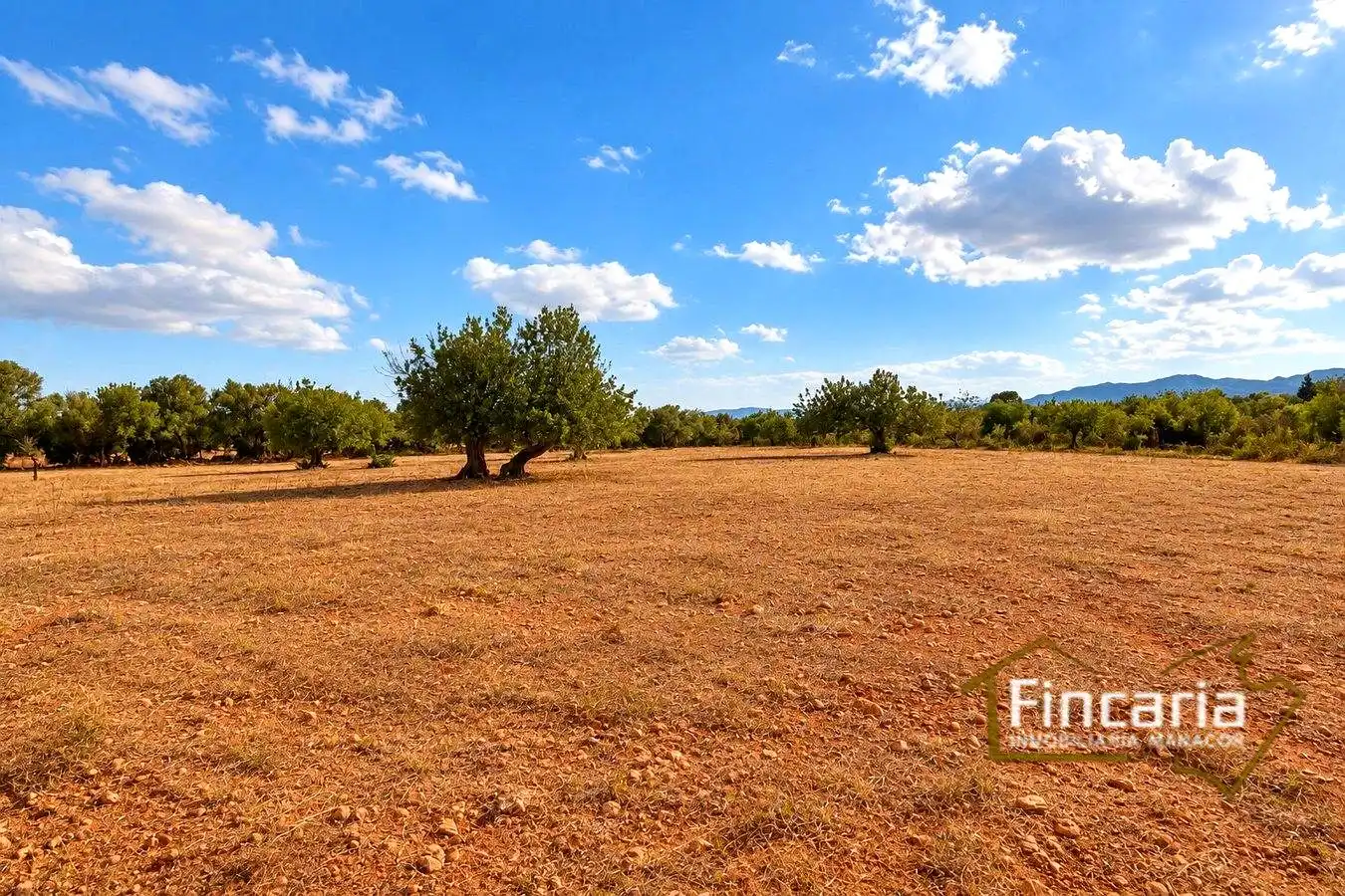 Country homes for sale in Marratxinet