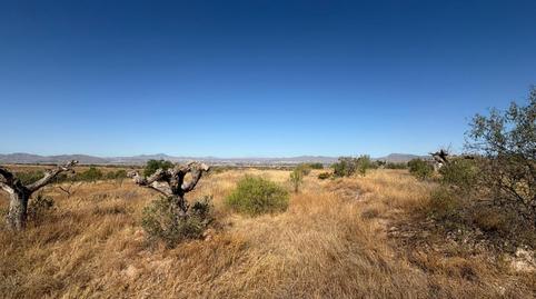 Foto 4 de Residencial en venta en Cazalla, Lorca