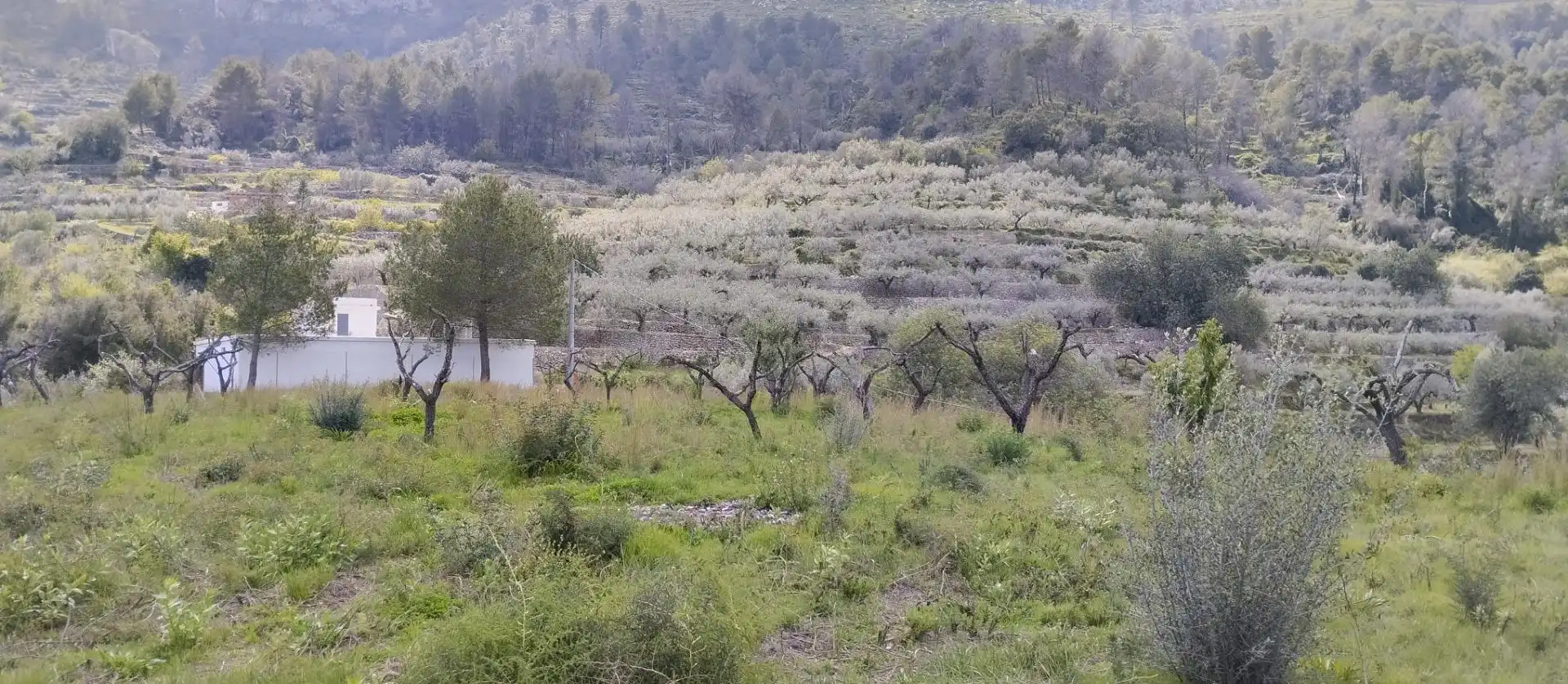 Terreny rústic en venda a La Vall de Gallinera, imagen 9
