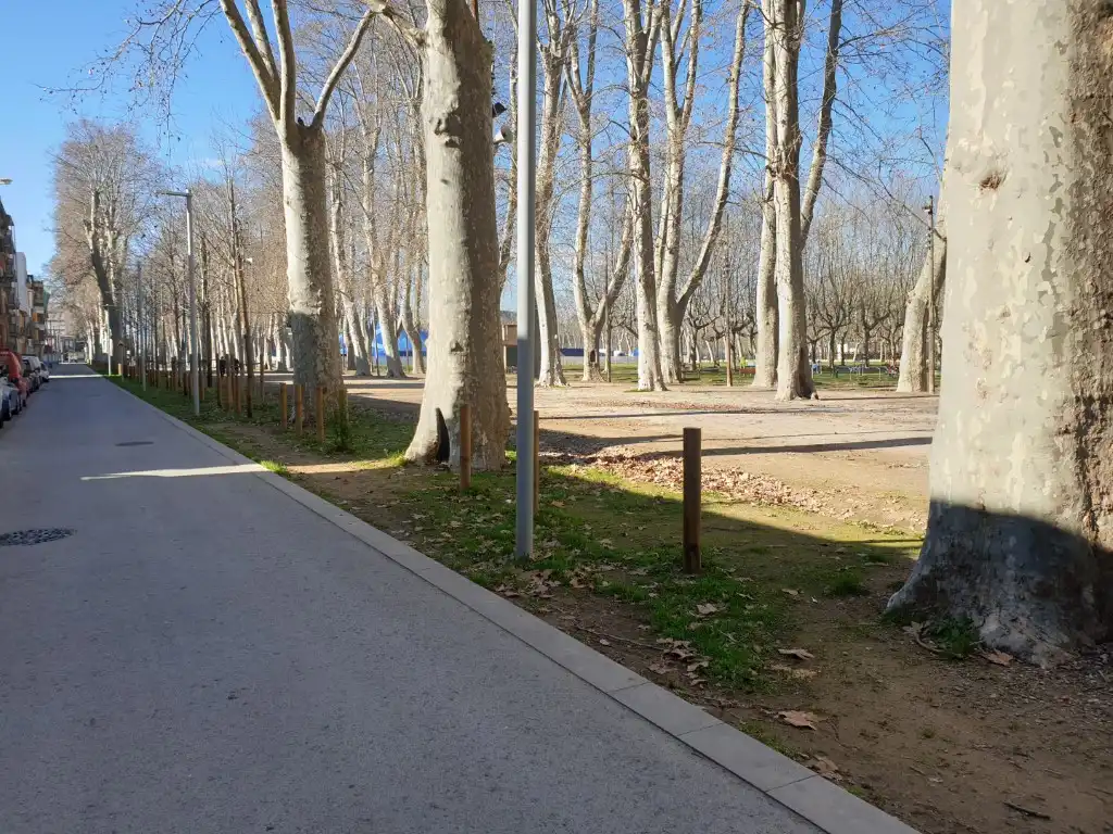 Garatge de lloguer a Passeig de la Devesa, 4, La Devesa
