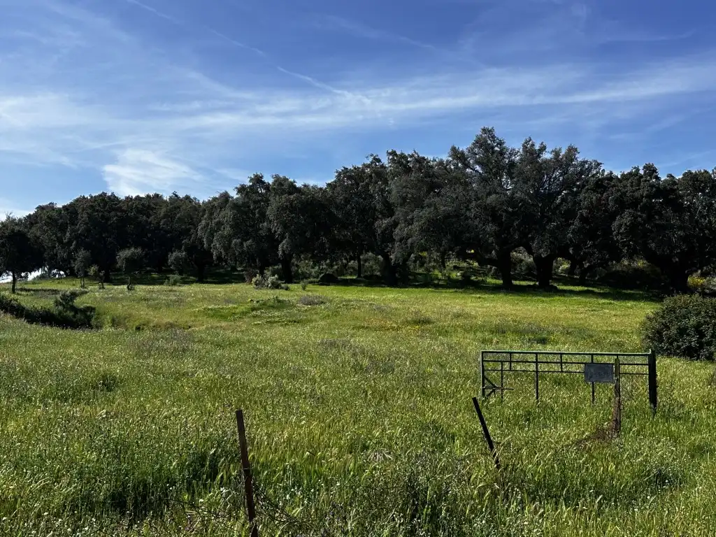 Casa rústica en venda a Lugar Cortijo Malfund, imagen 9