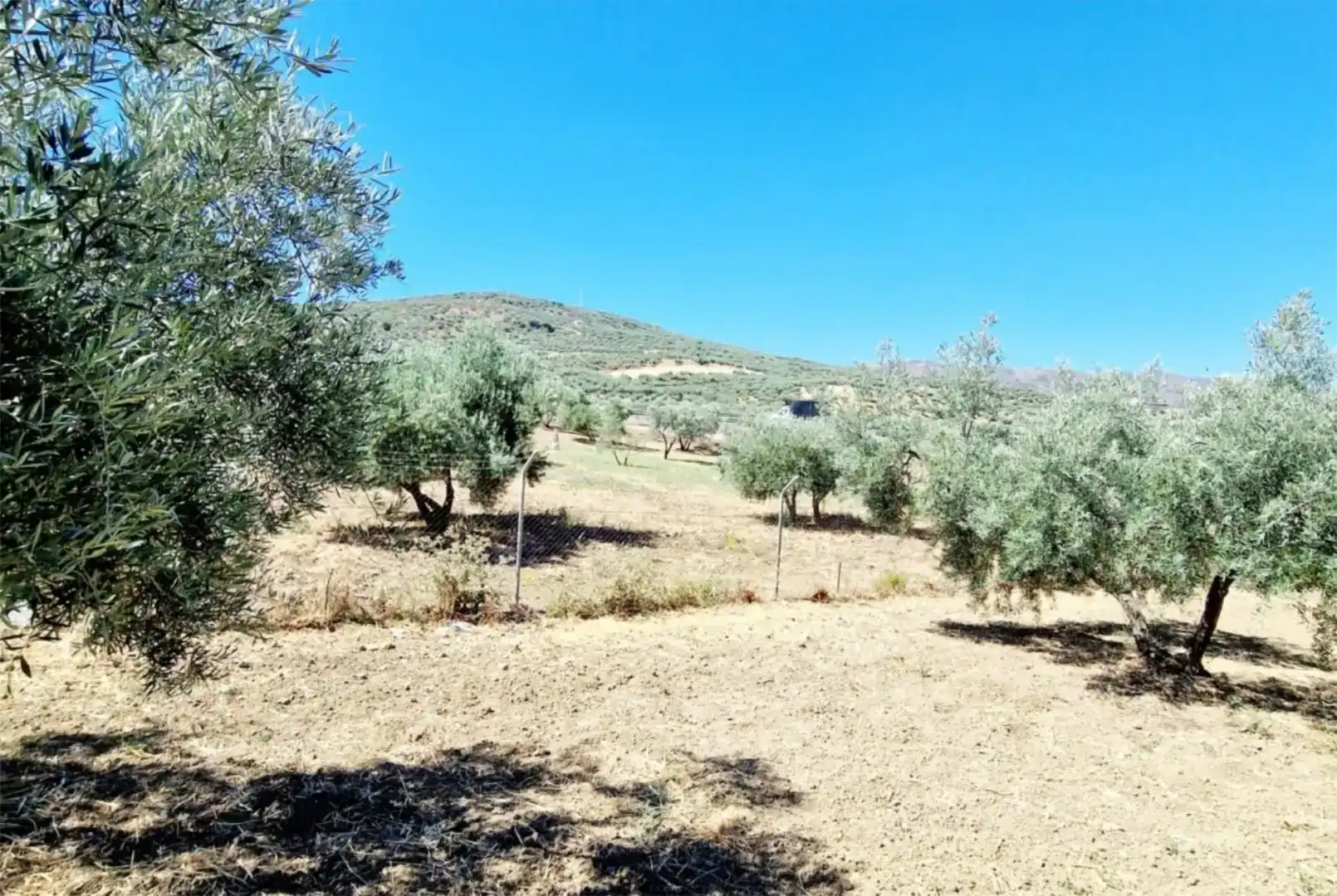 Casa o chalet de alquiler en Riogordo con Jardín privado