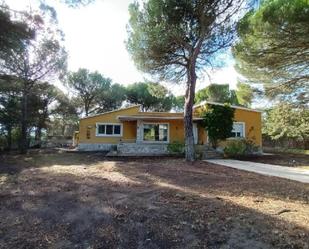 Exterior view of House or chalet for sale in Montemayor de Pililla  with Terrace