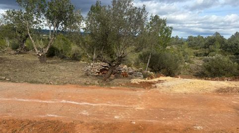 Foto 4 de Terreno en venta en Barrio Eras, 1, Chella, Valencia