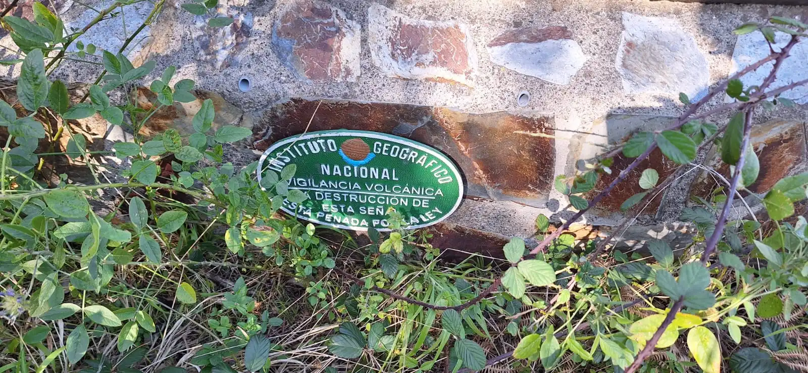 Vista exterior de Finca rústica en venta en Los Realejos con Jardín privado y Terraza