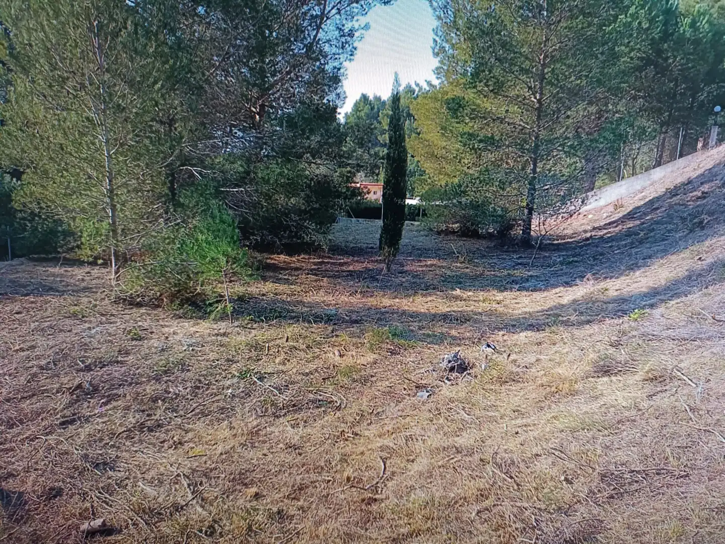 Rural land for sale in San Miguel - El Paraiso, imagen 2
