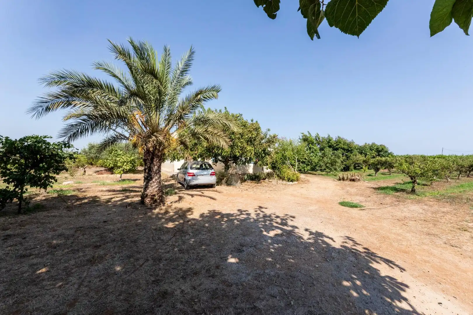 Casa rustica con giardino in vendita a Alcanar, imagen 50