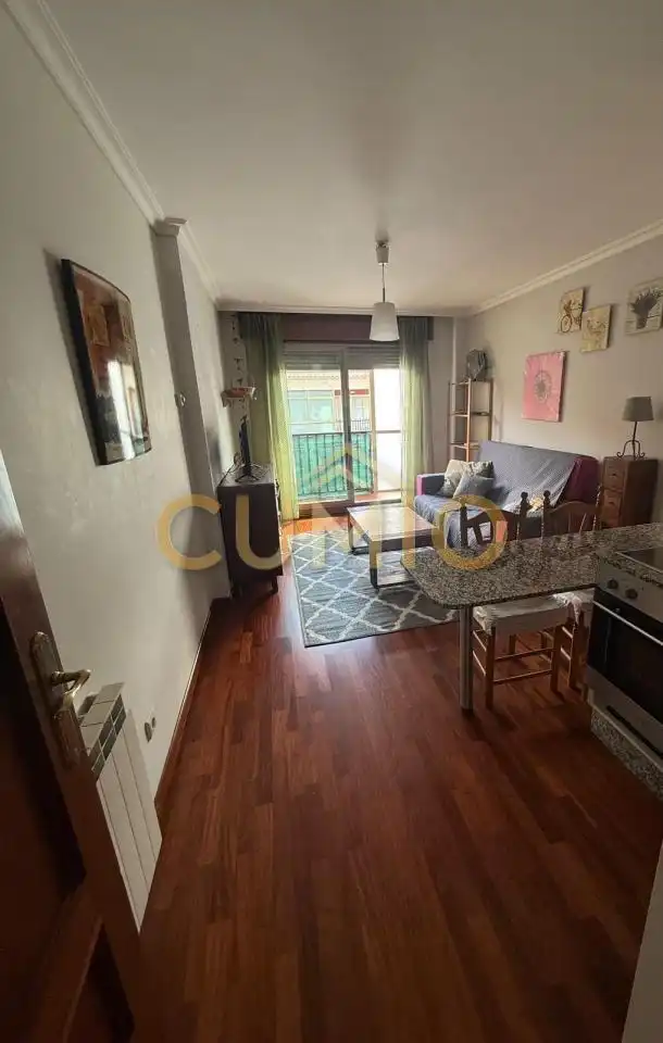 Sala d'estar de Pis de lloguer en Gondomar amb Calefacció, Parquet i Moblat