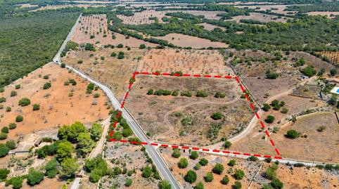 Photo 3 of Residential for sale in Son Serra de Marina, Santa Margalida