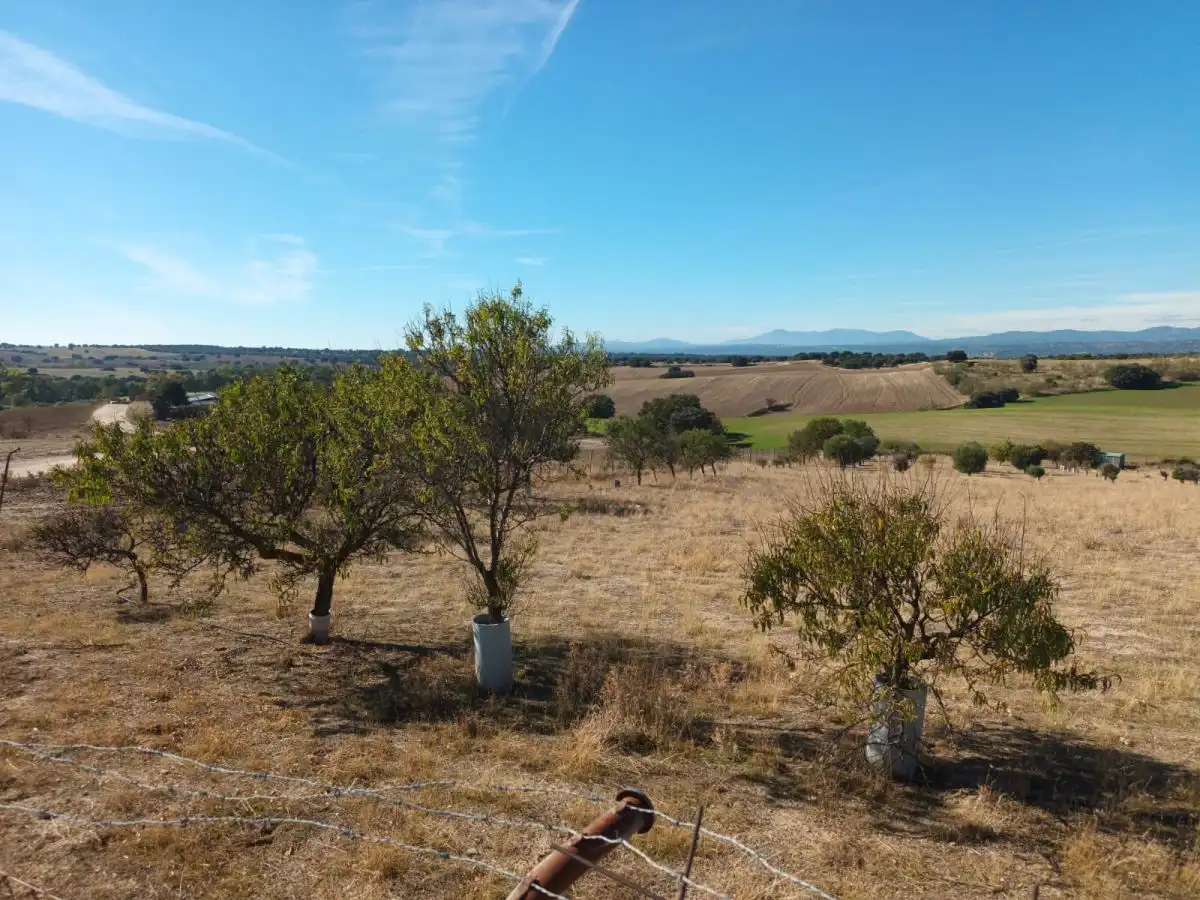 Finca rústica en venta en Brunete