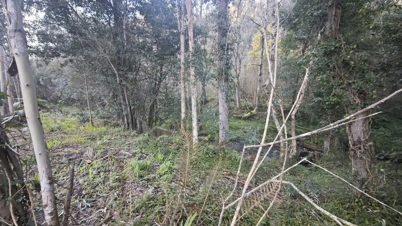 Terreno rustico in vendita a Pría - Nueva-Hontoria - Naves, imagen 15