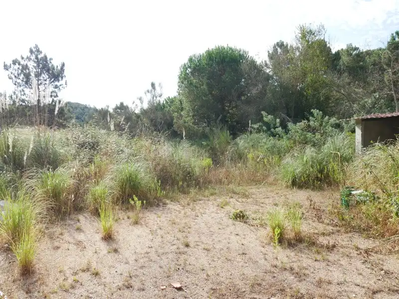 Residential land for sale in Avinguda Rafael Albertí 46, imagen 24