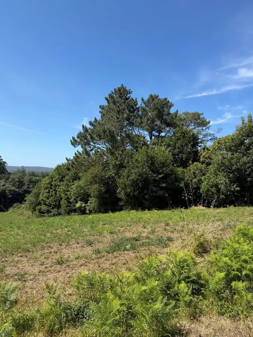 Terreni e lotti in vendita a A Laracha, imagen 3