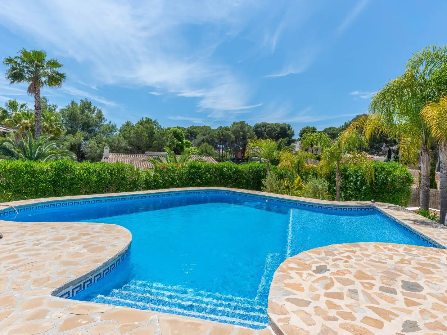 Villa con piscina in vendita a Pinar del Advocat - Cometa, imagen 4