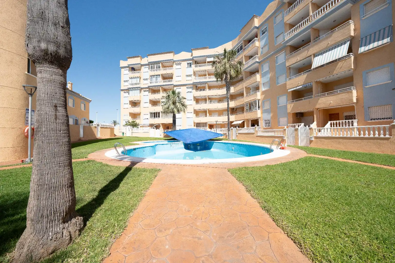 Piscina de Casa o xalet en venda en Elche / Elx amb Piscina comunitària