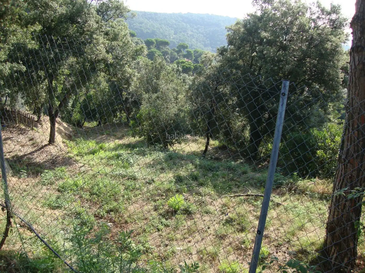 Wohnbaugrundstück zum Verkauf in Sant Cebrià de Vallalta, imagen 3