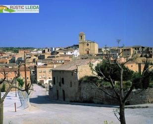 Vista exterior de Casa o xalet en venda en Els Omellons amb Terrassa