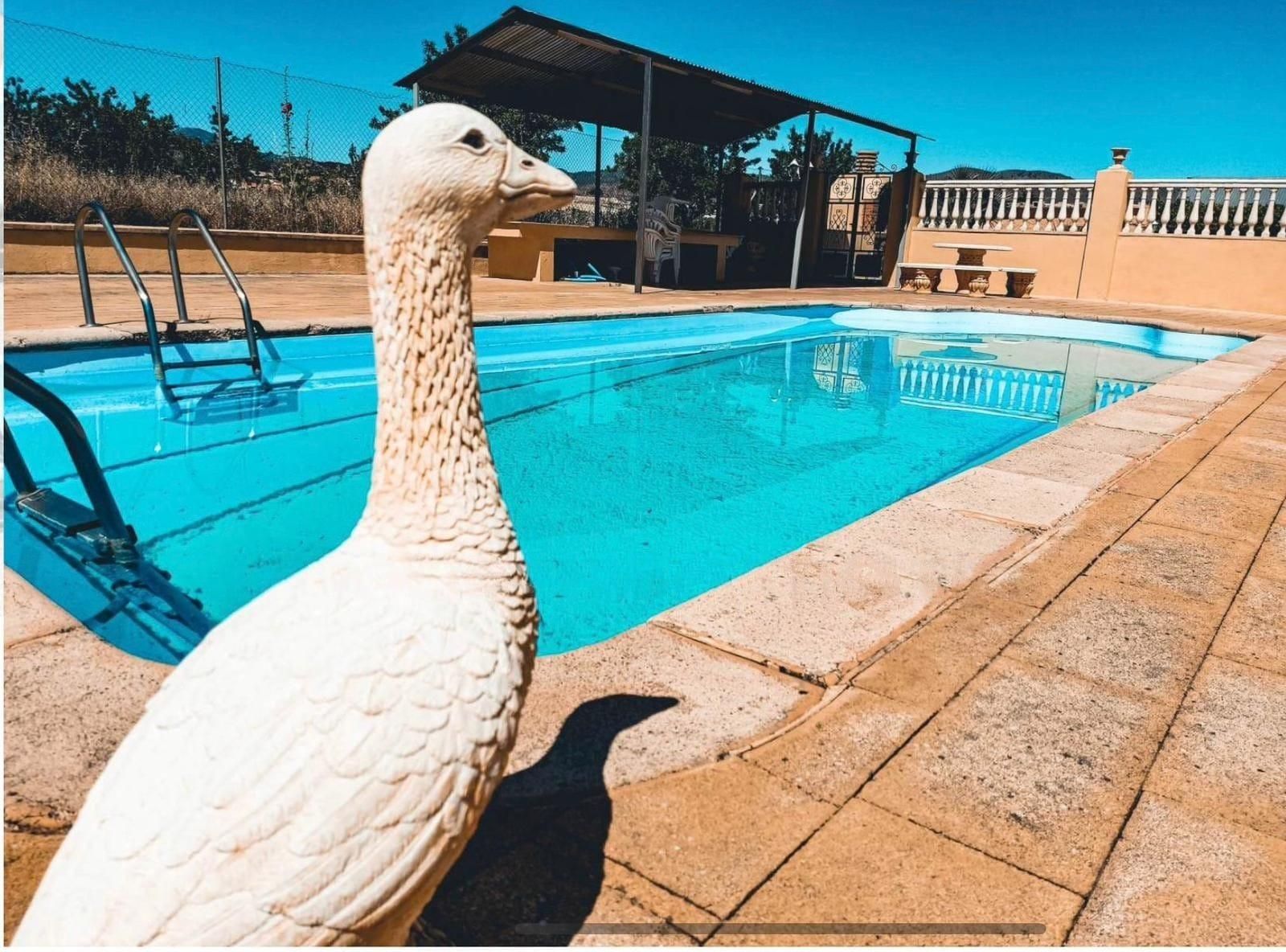 Piscina de Finca rústica en venta en Baza con Calefacción, Jardín privado y Piscina
