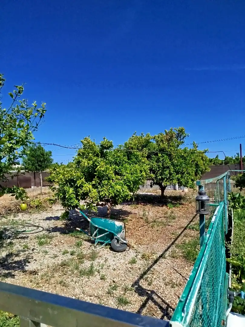 Terreno rústico en venta en Camí del Rajolar, imagen 5