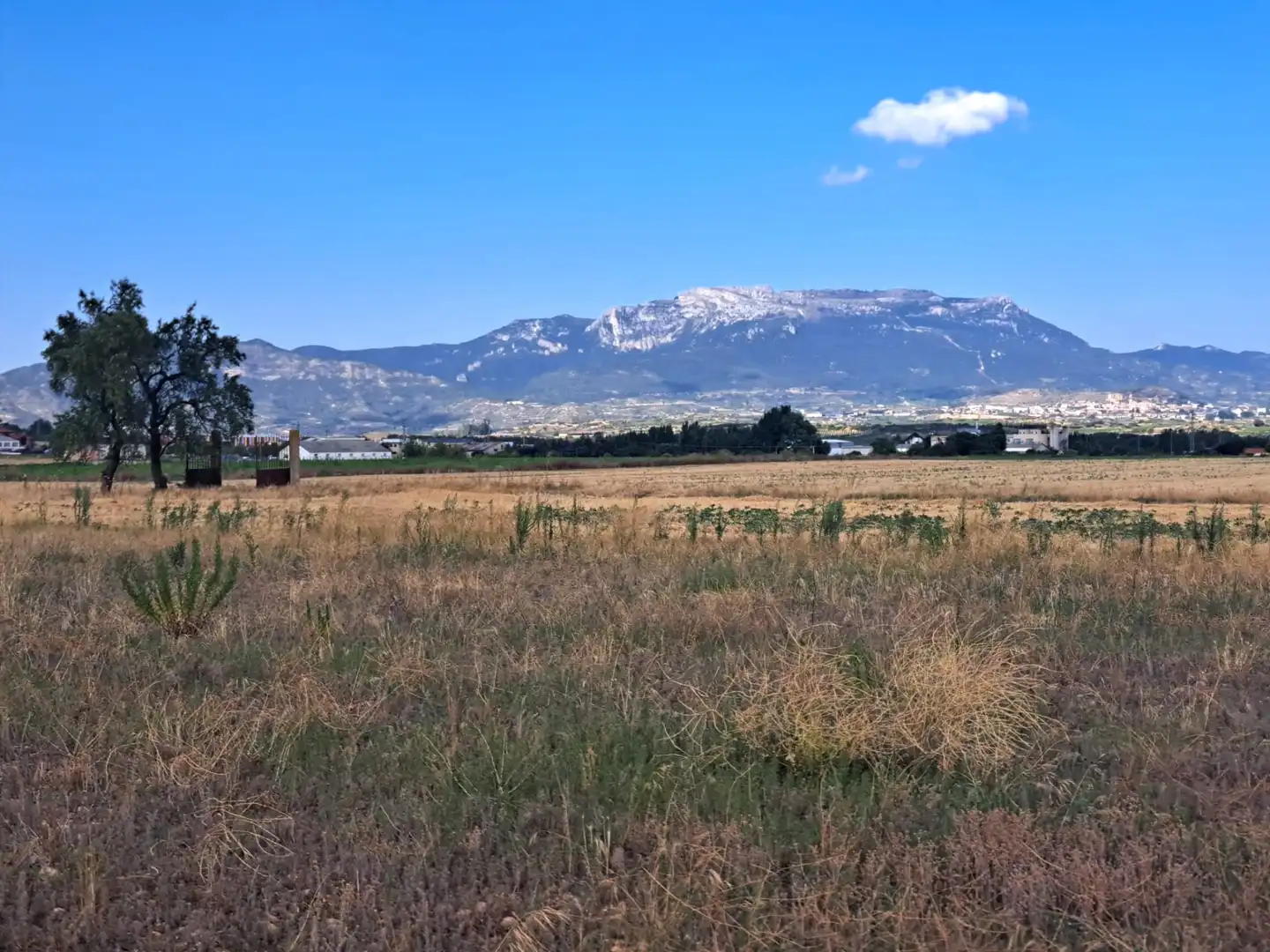 Terreni e lotti in vendita a N/A