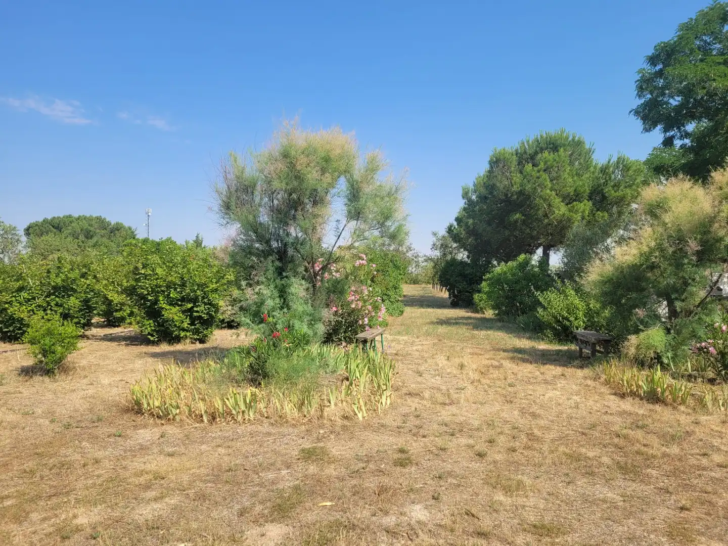 Casa o chalet en venta en Matapozuelos con Calefacción y Jardín privado